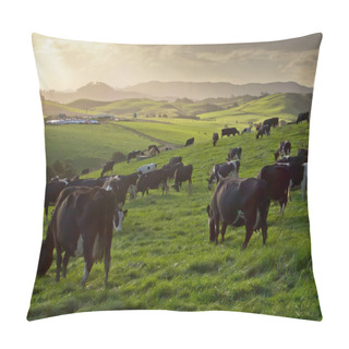 Personality  Grazing Cows In Hilly Countryside Pillow Covers