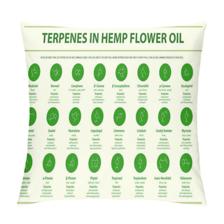 Personality  Terpenes In Hemp Flower Oil With Structural Formulas Horizontal Infographic Illustration About Cannabis As Herbal Alternative Medicine And Chemical Therapy, Healthcare And Medical Science Vector. Pillow Covers