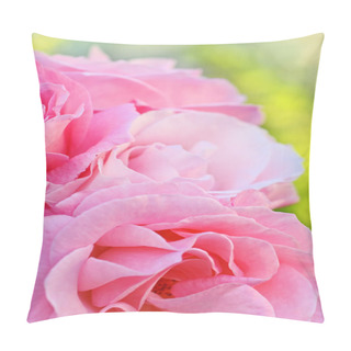 Personality  Pink Garden Roses Close Up Pillow Covers