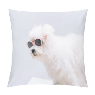 Personality  Havanese Dog In Sunglasses On White Surface Isolated On Grey Pillow Covers