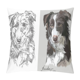 Personality  Realistic Head Of Border Collie. Vector Black And White And Colorful Isolated Illustration Of Dog. For Decoration, Coloring Book Pages, Design, Prints, Posters, Postcards, Stickers, Tattoo. Pillow Covers