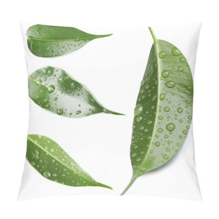 Personality  Green Leaves Isolated On White Pillow Covers