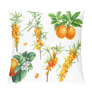 Personality  Fruits And Berries, Orange. Mandarin, Sea Buckthorn On An Isolated White Background, Watercolor Illustration, Botanical  Pillow Covers