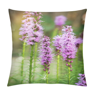 Personality  Liatris. Perennial Flowers. Pillow Covers