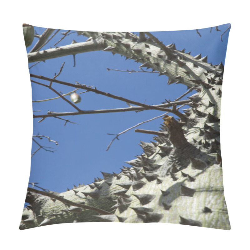 Personality  Ceiba Tree - Macro Pillow Covers