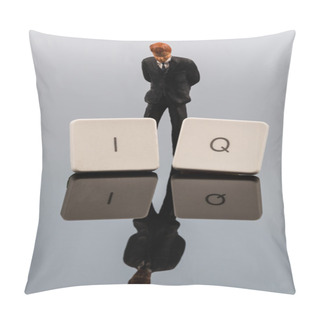 Personality  Symbol Photo Intelligence Quotient Pillow Covers