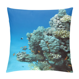 Personality  Coral Reef With Hard Corals Pillow Covers