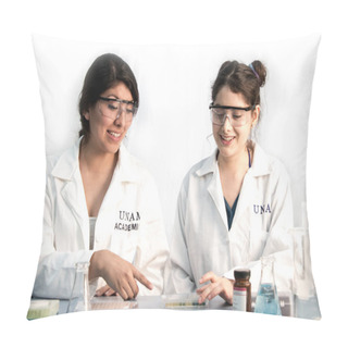 Personality  Two Lab Mates Working On Science Project Pillow Covers