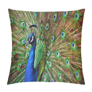 Personality  Peacock Open Feathers Pillow Covers