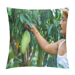 Personality  Farmer Hand Picking Mango From Mango Tree Pillow Covers