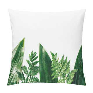 Personality  Flat Lay With Assorted Wet Green Foliage On White Backdrop Pillow Covers