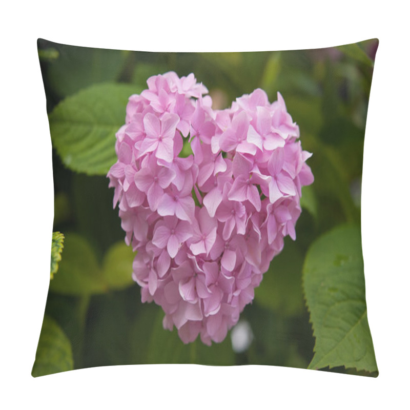 Personality  Pink Hydrangea Pillow Covers