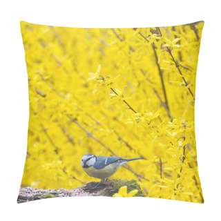 Personality  Tit, Blue Mansion In Winter Eating Seeds And Fat In A Garden Pillow Covers