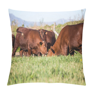 Personality  Cows Grazing Grass Pillow Covers
