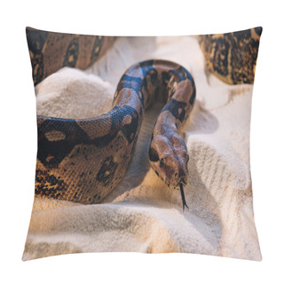 Personality  Selective Focus Of Python With Sticking Out Tongue On Sand  Pillow Covers