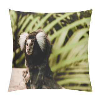 Personality  Selective Focus Of Marmoset Monkey In Zoo Pillow Covers