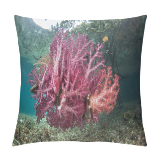 Personality  Soft Corals On Roots Pillow Covers