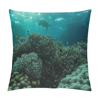 Personality  Wundervolle Korallenbaenke Am Roten Meer. Mit Zahlreichen Fischschwrme.  Pillow Covers