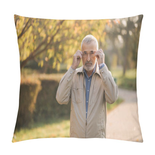 Personality Handsome Bearder Elderly Man Put On Glasses. Gray Haired Old Man In The Park Pillow Covers