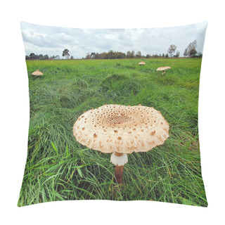 Personality  A Closeup Shot Of Wild Mushrooms Pillow Covers