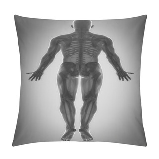 Personality  Muscles Anatomy Map Pillow Covers