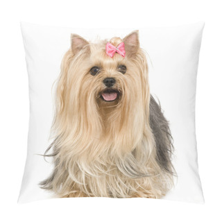 Personality  Yorkshire Terrier (6 Years) Pillow Covers