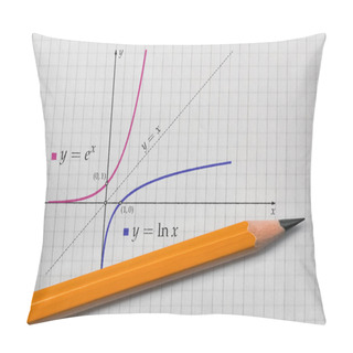 Personality  Exponential And Logarithmic Function Pillow Covers