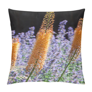 Personality  Bright Delphinium Flower Pillow Covers