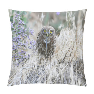 Personality  Chick Of A Little Owl Eats Snake Pillow Covers