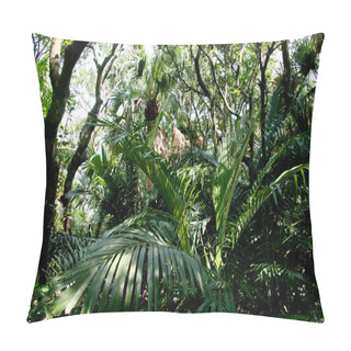 Personality  Jungle Foliage - Tokashiki Island, Okinawa, Japan Pillow Covers