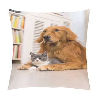 Personality  Dogs And Cats, Taken Indoors Pillow Covers