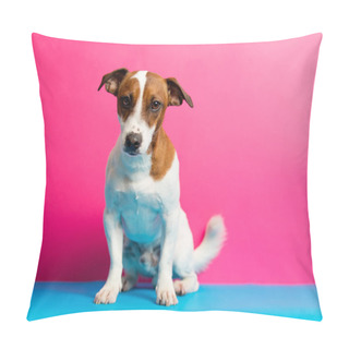 Personality  Cute Jack Russel Terrier  Pillow Covers