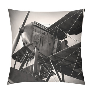 Personality  Biplane Pillow Covers