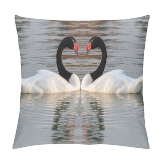 Personality  White Swan Black Neck In The Lake. Pillow Covers