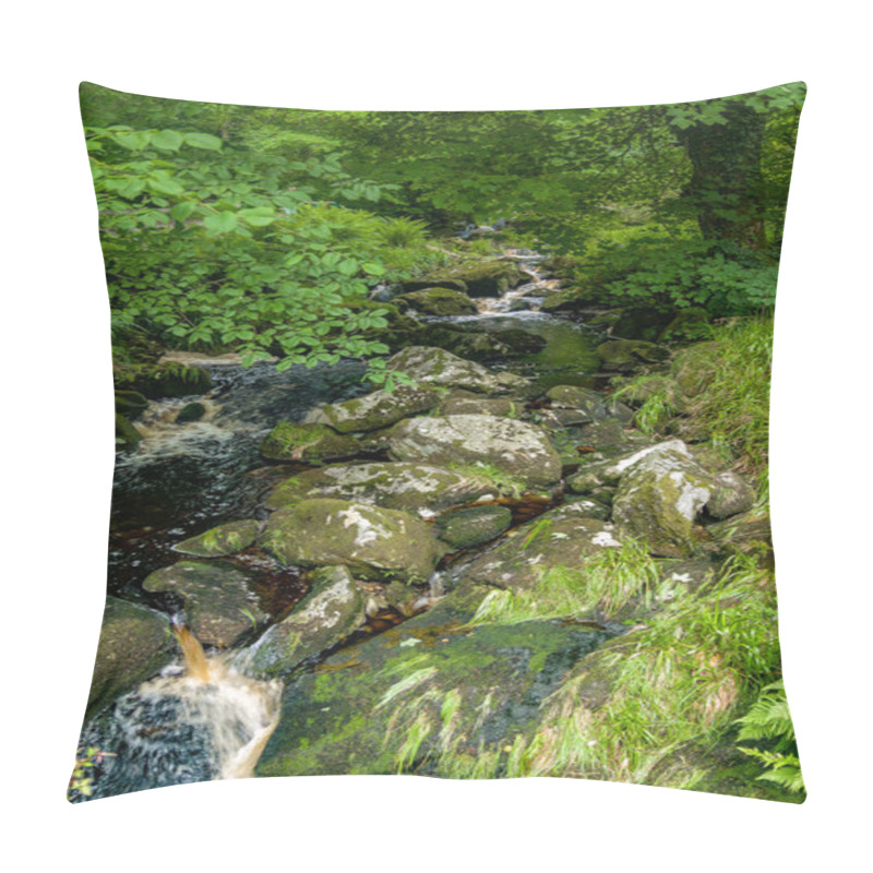 Personality  Wicklow Mountains National Park,  County Dublin, Ireland,  wandering around Wickolw Mountains lakes and woodlands, Ireland      pillow covers