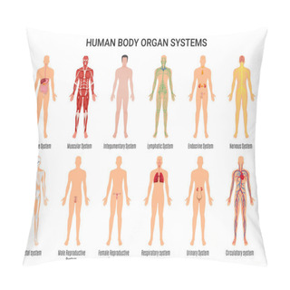 Personality  Human Body Organ Systems Poster Pillow Covers