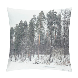Personality  Frozen River And Trees In Snowy Park Pillow Covers