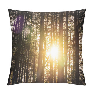 Personality  Beautiful Landscape Of Tree And Forest With Sun Light Pillow Covers