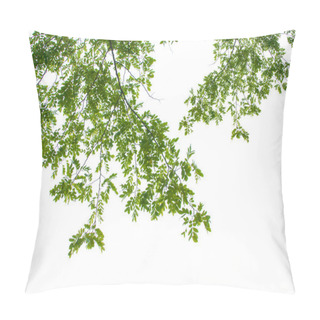 Personality  Green Leaves On White Background Pillow Covers