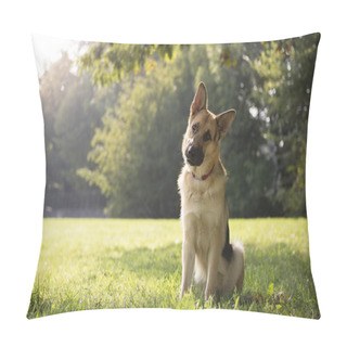 Personality  Young Purebreed Alsatian Dog In Park Pillow Covers