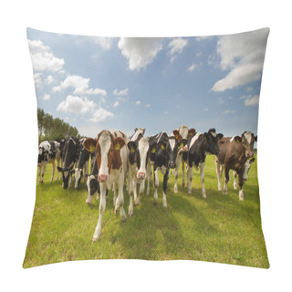 Personality  Dutch Cows In A Meadow Pillow Covers