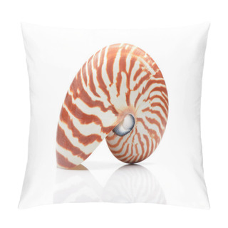Personality  Nautilus Shell Isollated On White Background With Relfection Pillow Covers