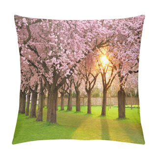 Personality  Fascinating Springtime Scenery Pillow Covers