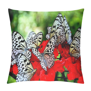 Personality  Batu Ferringhi, Malaysia: Butterflies Sipping Nectar Pillow Covers