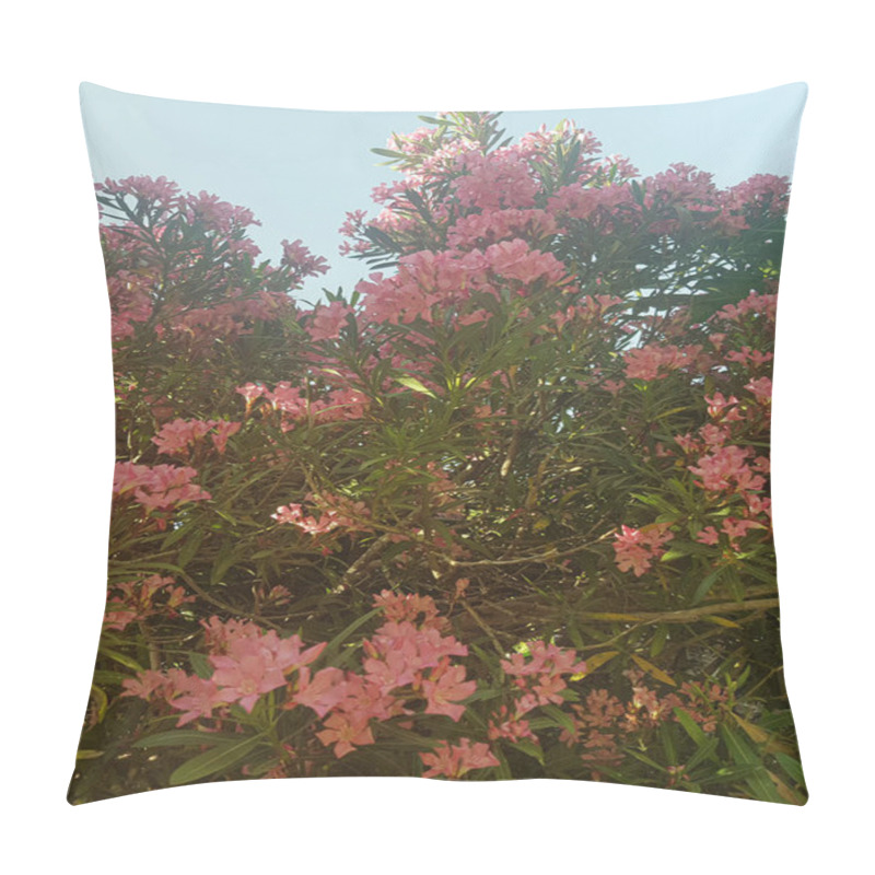 Personality  Vase of oleander flowers. The oleander flowers are a bright pink color, and they are surrounded by green leaves pillow covers