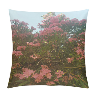 Personality  Vase Of Oleander Flowers. The Oleander Flowers Are A Bright Pink Color, And They Are Surrounded By Green Leaves Pillow Covers