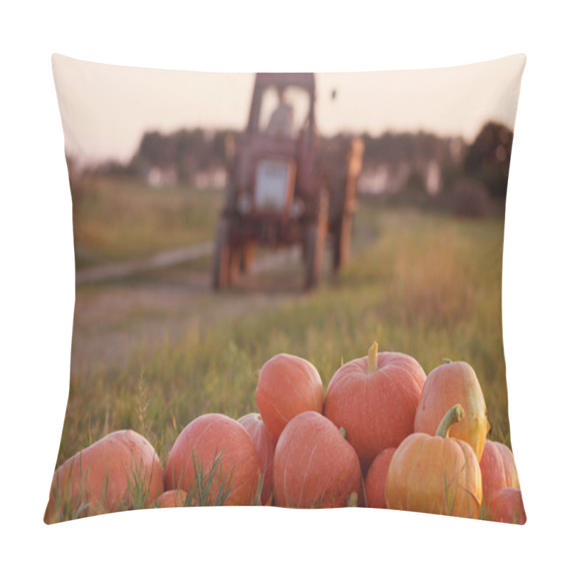 Personality  pumpkins in field pillow covers