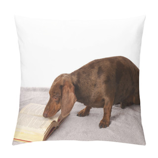 Personality  Tiger Dachshund Reading A Book On A White Background Pillow Covers