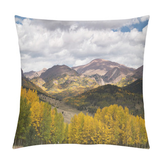 Personality  Golden Aspens On Pikes Peak Pillow Covers