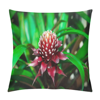 Personality  Ginger Flower Torch Closeup On Green Background Pillow Covers